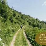 Hoelderle * 达米尔斯