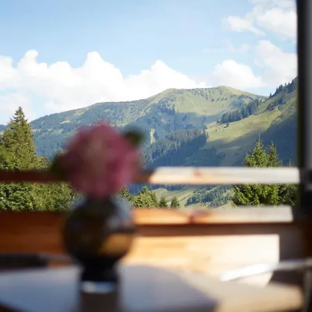 Apartment Hoelderle *