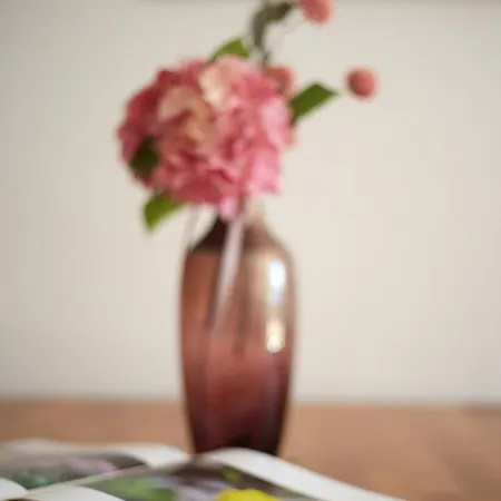 Hoelderle Apartment *