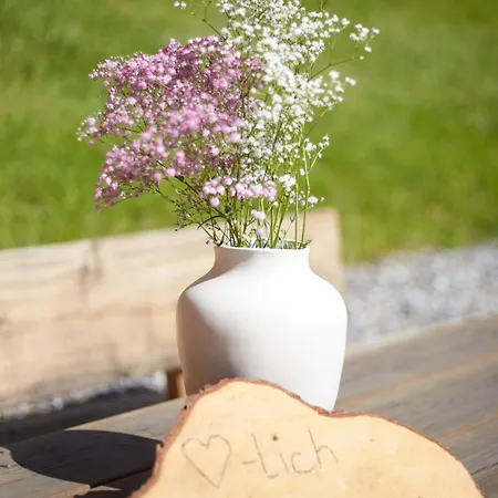 Hoelderle Apartment Damüls