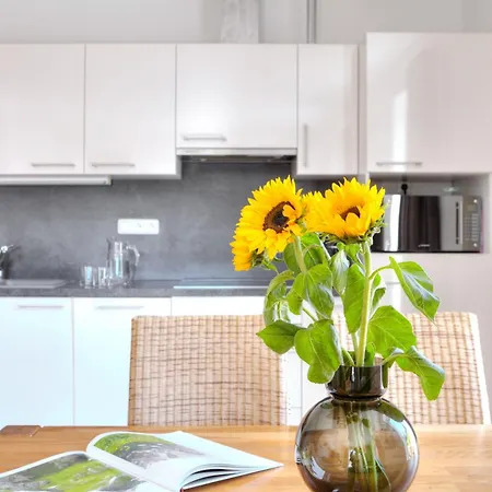 Hoelderle Apartment