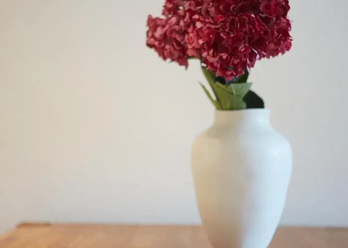 Hoelderle Appartamento Damuels