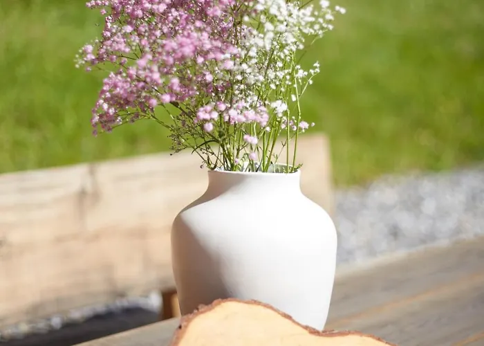 Hoelderle Appartamento Damuels